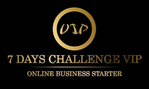 Online Business Starter (VIP)